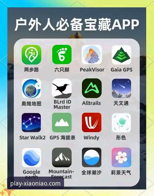 小鸟体育APP安装教程 揭秘小鸟体育APP:从下载到精通,你不知道的实用安装与使用全攻略