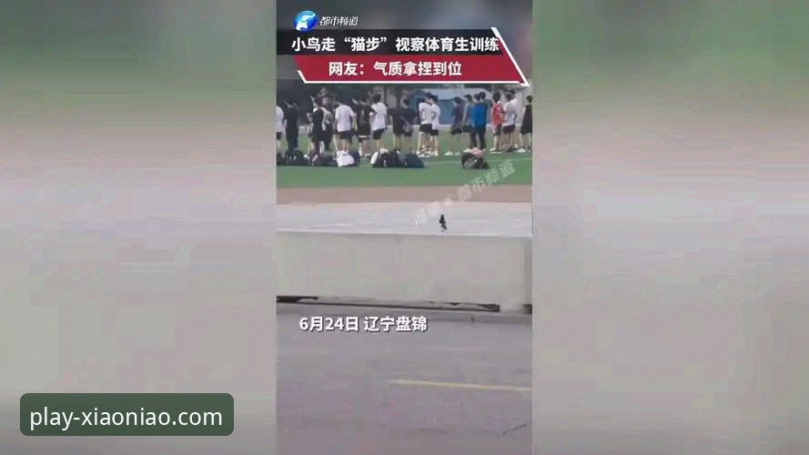 小鸟体育加载慢官方下载解决教程：老用户教你5分钟搞定流畅体验
