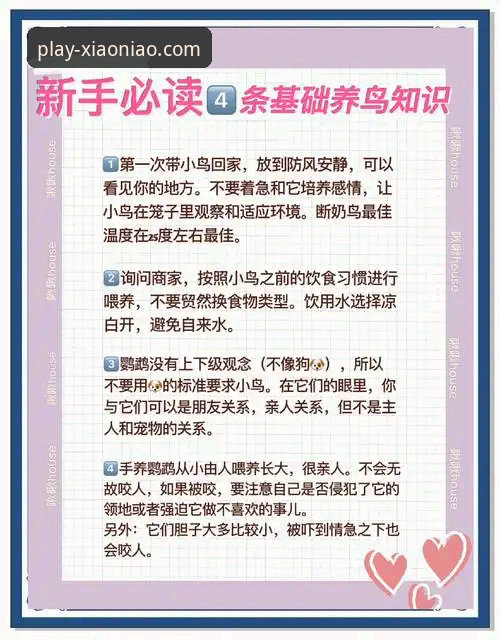 3个关键步骤获取小鸟体育精彩集锦最新版，技术评测带你避开下载陷阱